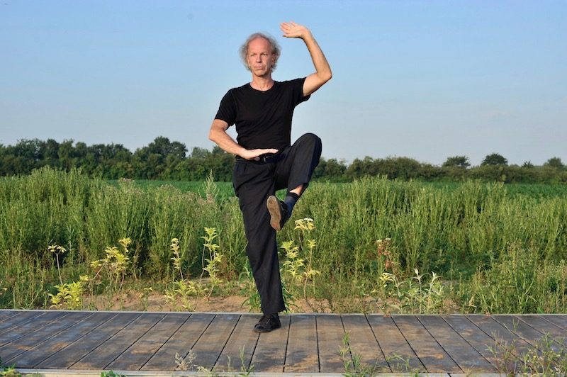 coq d'or se tient sur une patte Wu