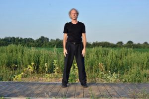 coq d'or se tient sur une patte Wu