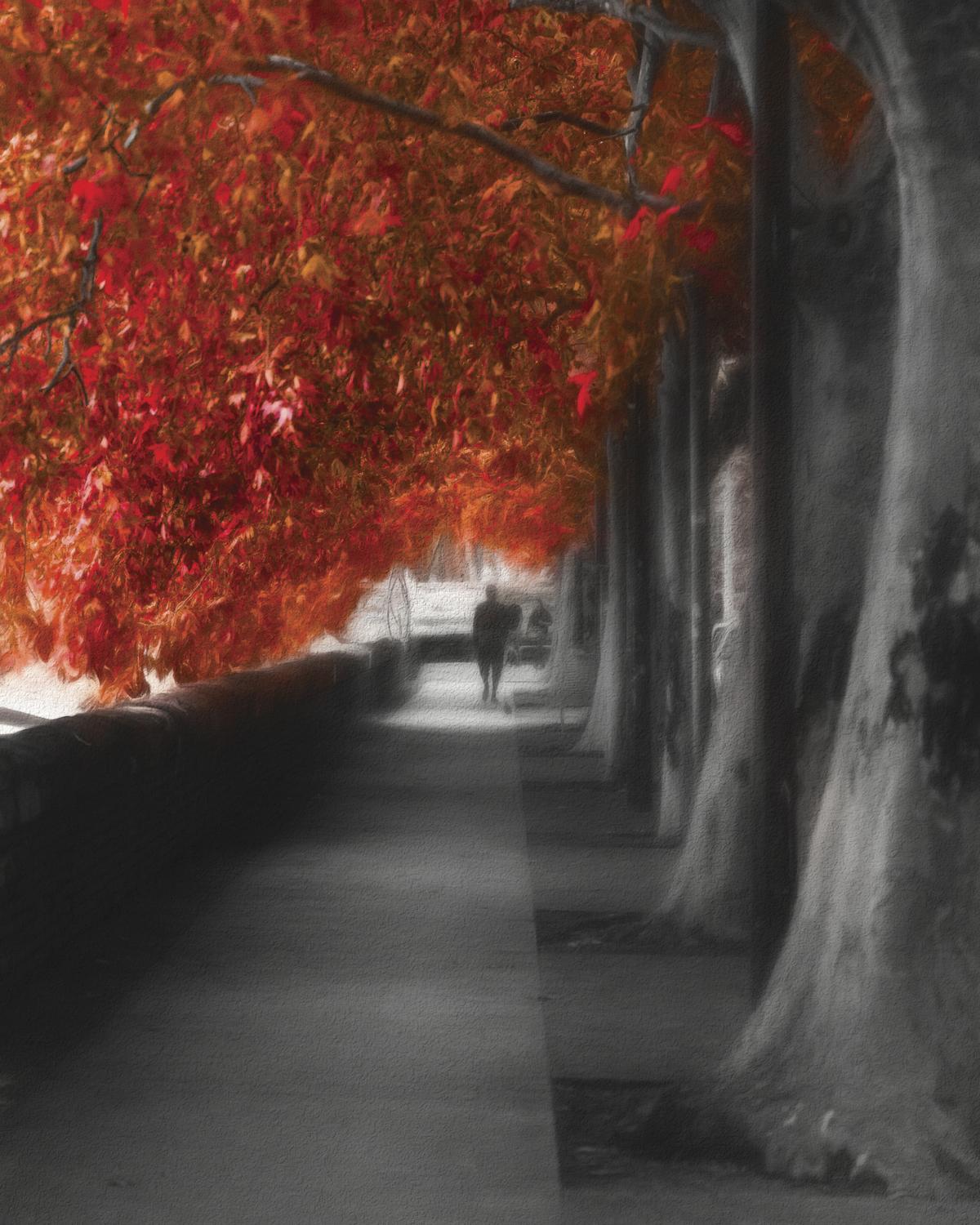 Autumn Promenade - Erik Brede