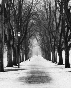 Erik Brede Photography - The Park