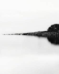 Erik Brede Photography - Lonely Tree