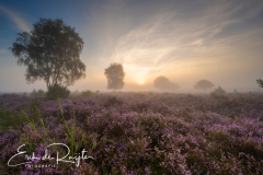 210825-Westerheide Laren