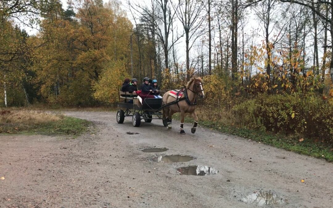 Åktur med häst och vagn