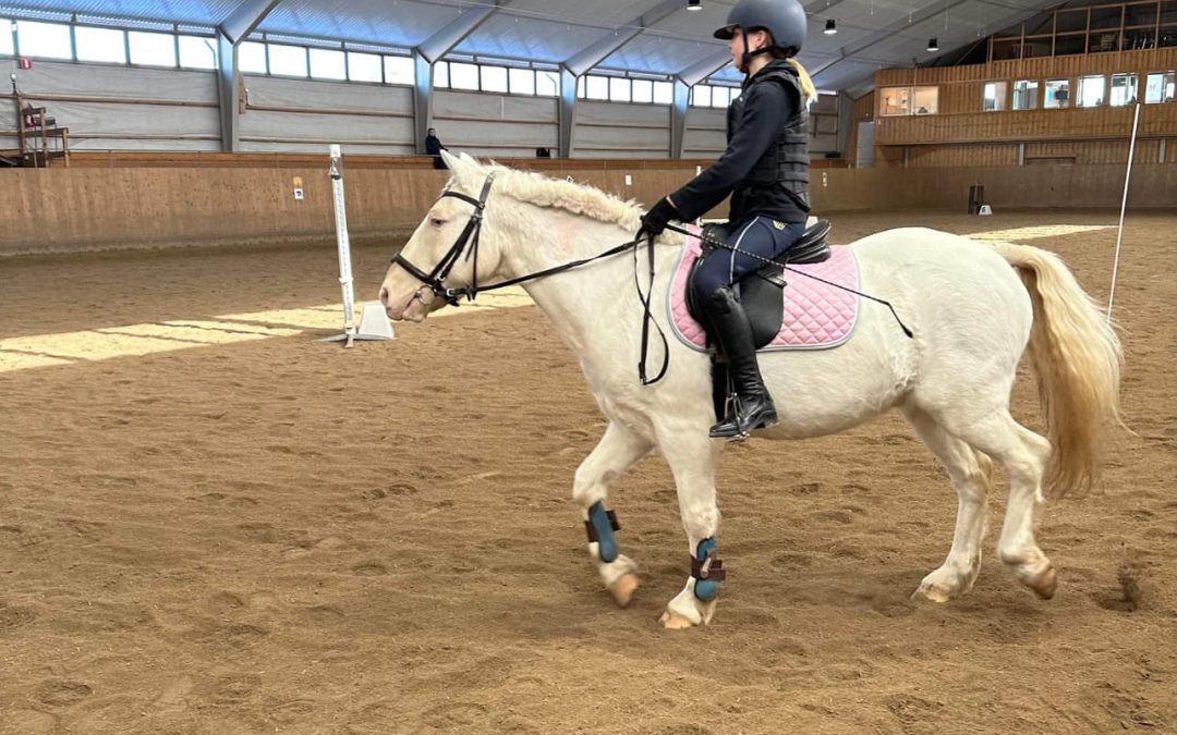 Ridskolecup i WE