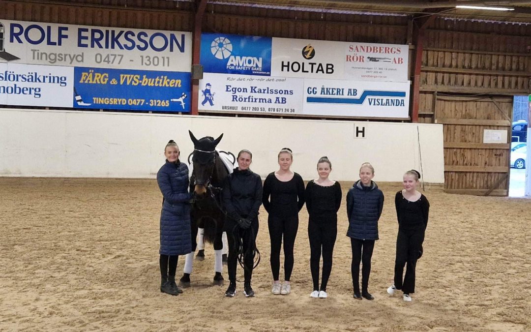 Clinic på Tingsryd Rid & Körklubb