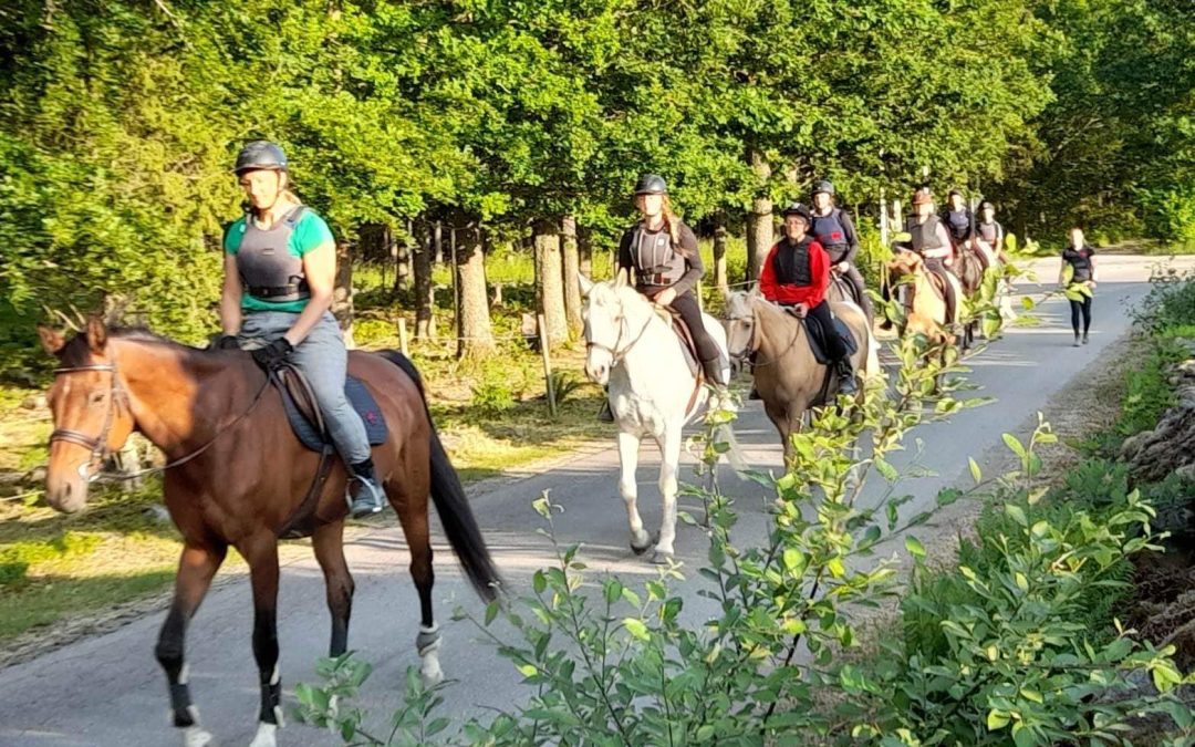 Besök av anställda på Xylem