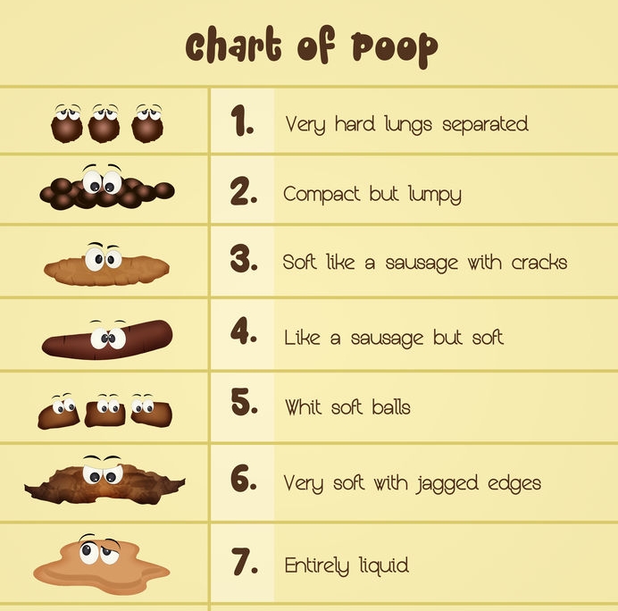 Bristol stool chart afføring