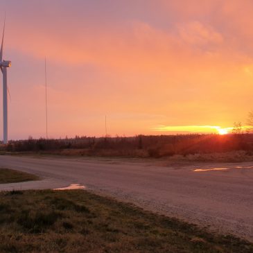 At skabe og lede forandringer