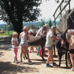 Kindern bürsten die Esel