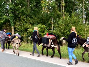 Eselwanderung mit Pfadfindern