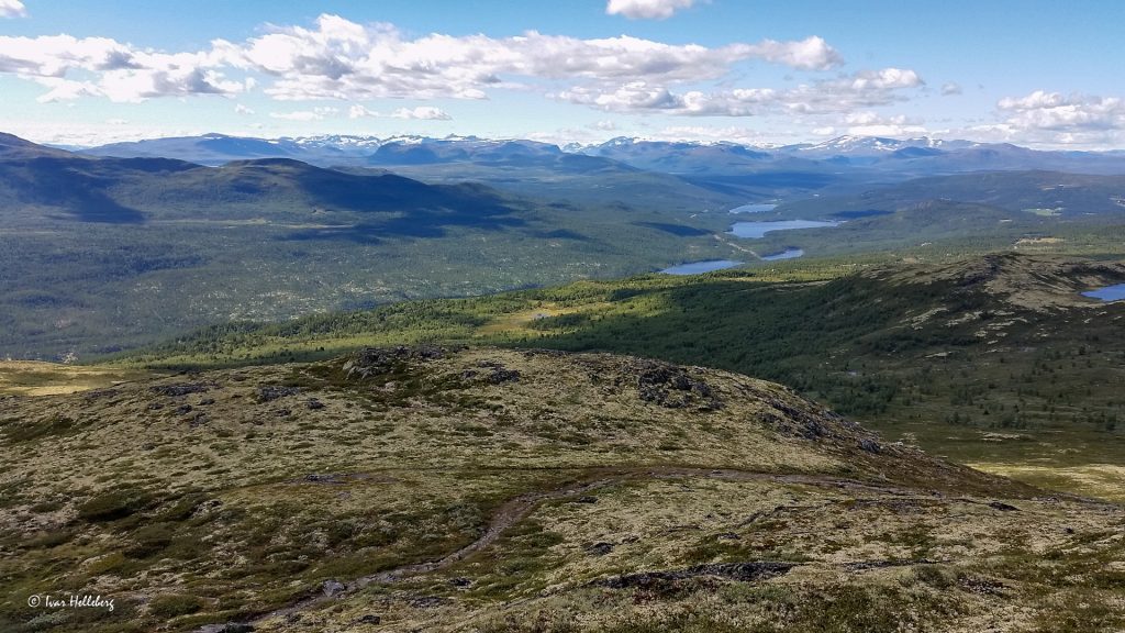 Utsikt fra Sprenpiggen