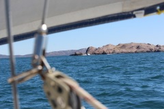 Caleta-Hornos-Argentinien-1