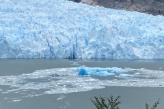 Gletscher San Rafael-3