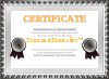 Certifikat för godkännt tillbehör till TraunaTransfer™
