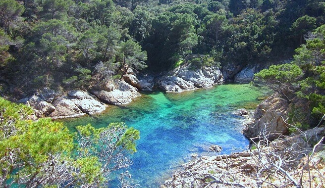 Snorkel en Costa Brava - ¡Los 6 sitios MÁS ESPECTACULARES!