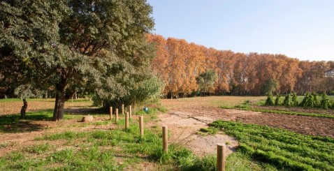 Bonitos bosques de Barcelona y alrededores