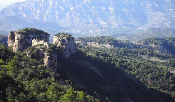 Bonitos bosques de Barcelona y alrededores