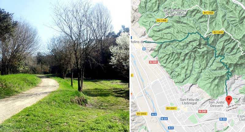 Las mejores rutas de senderismo en Collserola