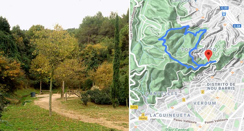 Las mejores rutas de senderismo en Collserola