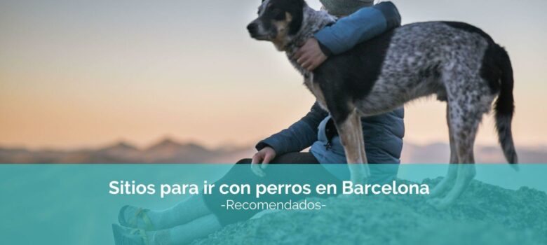 8 sitios para ir con perros en Barcelona