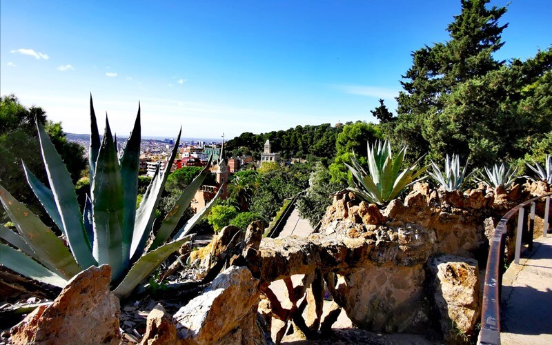 8 mejores lugares para ver el atardecer en Barcelona