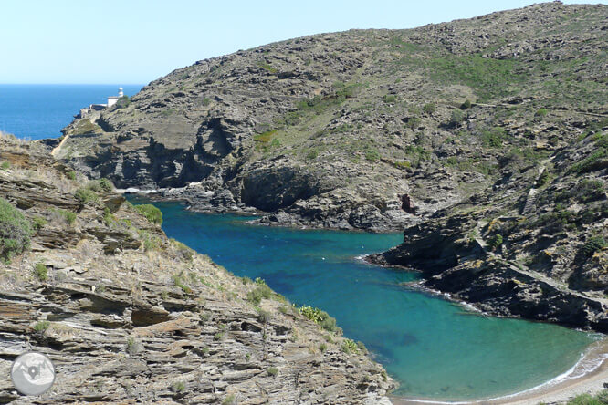 8 playas nudistas en la Costa Brava que tienes que conocer