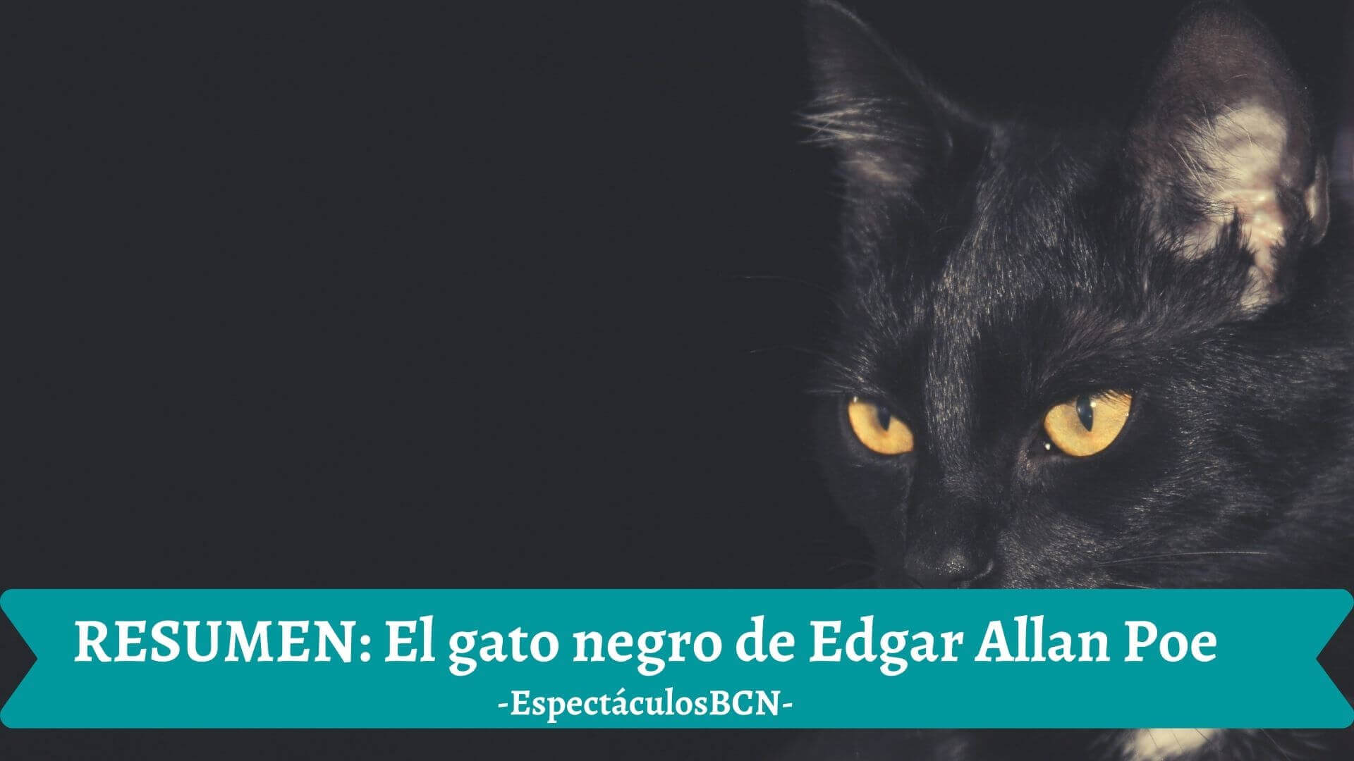 El gato negro de Edgar Allan Poe: resumen y personajes