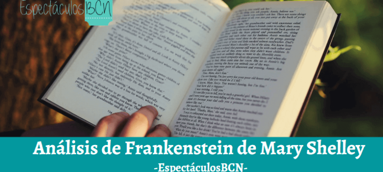 Análisis de Frankenstein de Mary Shelley, resumen y personajes