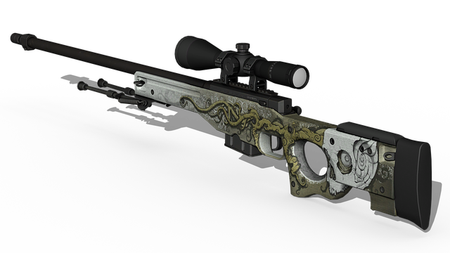 AWP skin