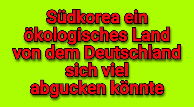 In modernen ökologischen Busan/Südkorea wird einem die deutsche Trostlosigkeit bewusst!