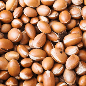 Argan Nuts