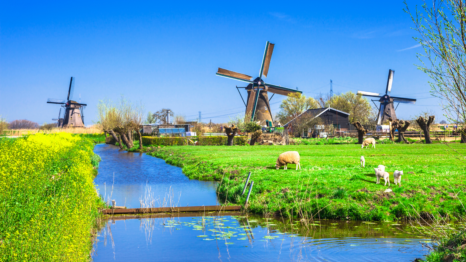 Ontwerp zonder titel (36)