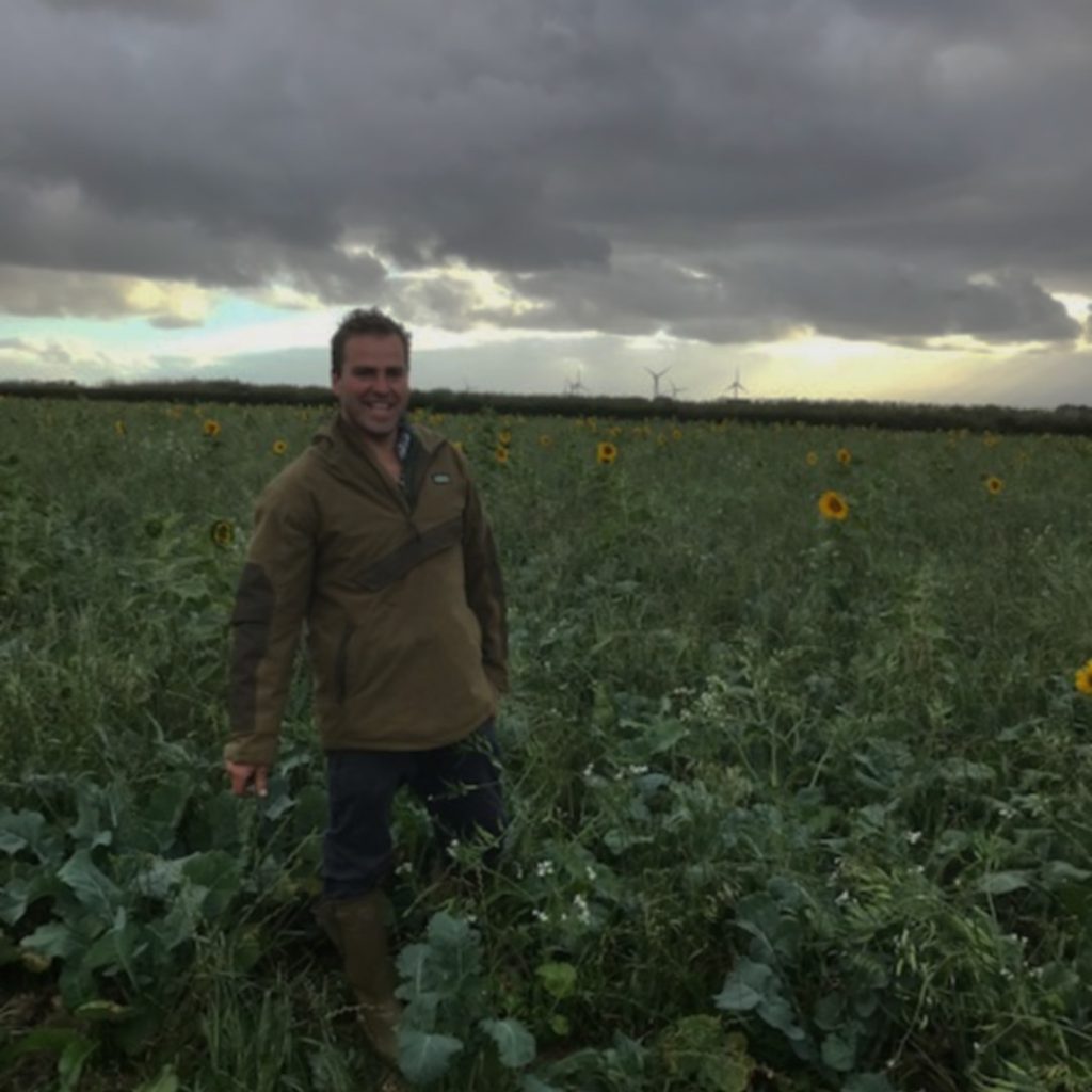 Farmer in field of crops