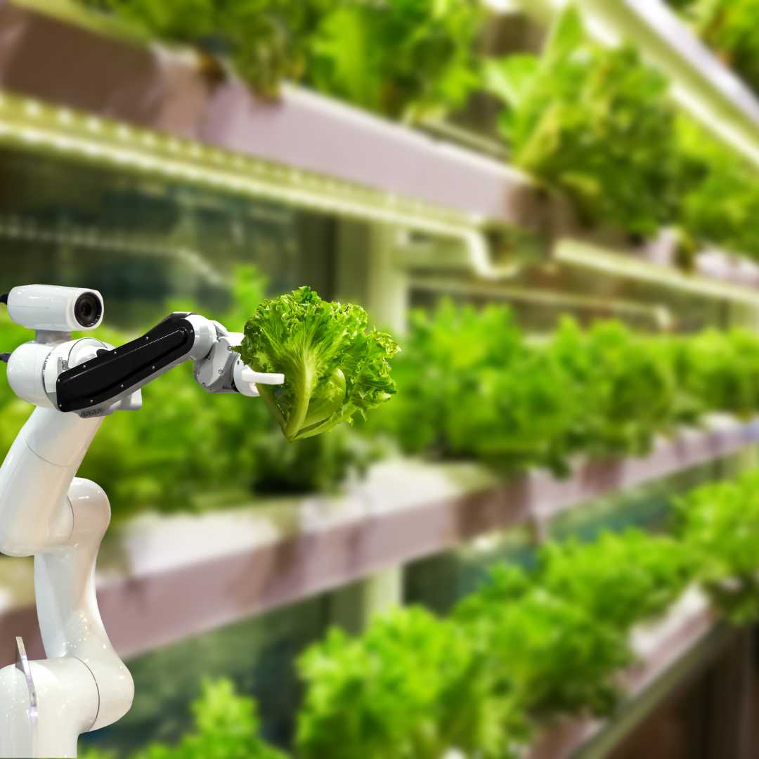 Robots in Agriculture - Esus Agri Ltd