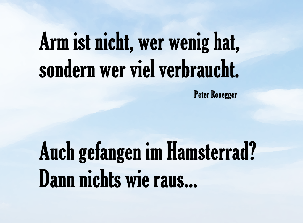 Weg aus dem Hamsterrad der Arbeit. Durch sparen und Anlage mit ETFs das Hamsterrad des Konsums verlassen.