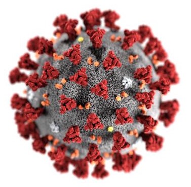 Corona-Virus: Was Aktien-Investoren jetzt tun sollten 1