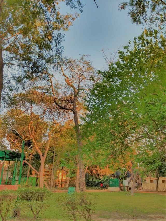 Buy and Hold für Anleger mit ETFs in Zeiten der Corona? Eine Schönwetterstrategie? Bild zeigt einen Park in Neu Delhi, Indien.