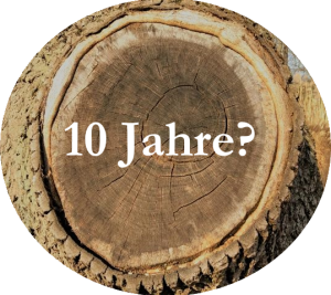 Geld für 10 Jahre anlegen mit Aktien und ETFs? Für einen Baum ist das nur ein kurzer Zeitraum.