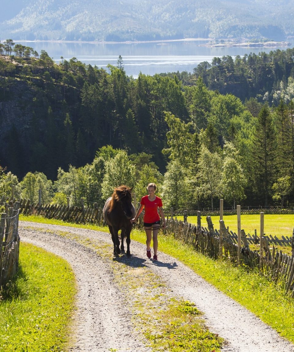 Discover Heritage in Helgeland Setran Farm