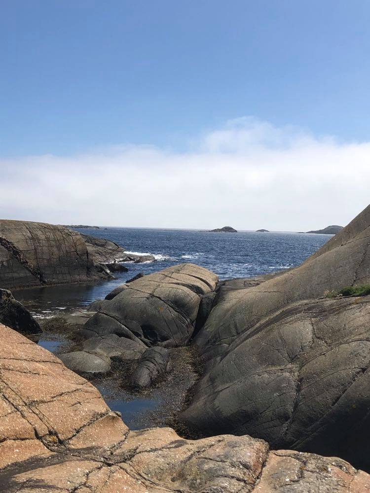 Rusk i forgasseren, men nyter denne utsikten utover fjorden med Skarvane i bakgrunnen