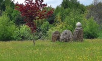 Rudi Jahn: Garten Achternbusch 25.05.2019