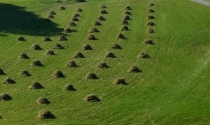 Seltenheitswert: Heuschober