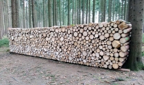 Rudi Jahn: Holzstoss bei Steinpyramide