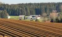 Rudi Jahn: Kartoffelfeld Maurer, Josefsdorf 17.04.2019