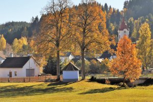 Ausflug Bärentrail Kirchbach