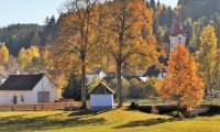 Rudi Jahn: Teddybärentrail Kirchbach 24.10.2021