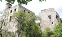 Gerlinde Schulmeister: Tagesausflug Burgruine Falkenstein