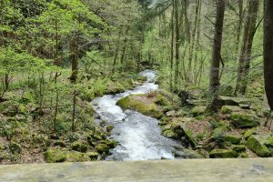 Ausflug Stillensteinklamm