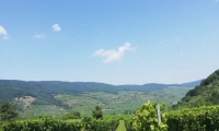 Gerlinde Schulmeister: Hoher Stein in der Wachau 15.08.2021