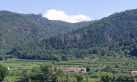 Gerlinde Schulmeister: Hoher Stein in der Wachau 15.08.2021